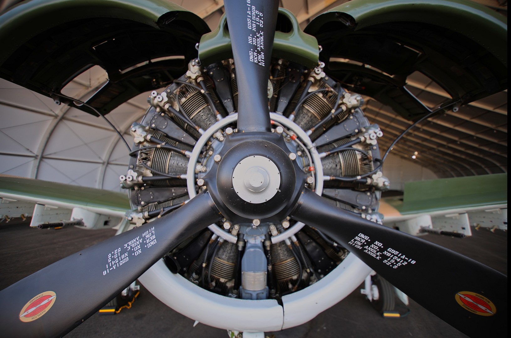 RAVEN Re-sale Photos Jun 2025RAVEN_prop view closeup_1