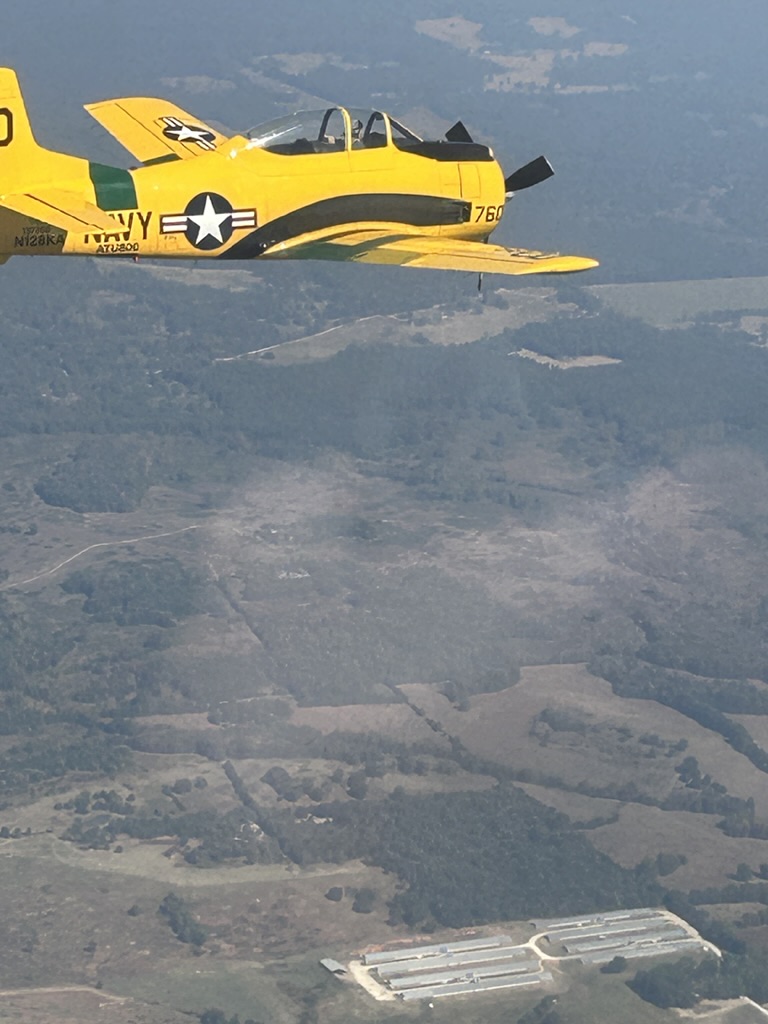 T28 formation